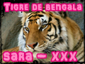 sara - xxx
