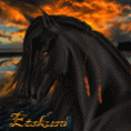~Etskuni